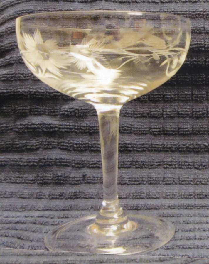 UNK6786 Champagne/Tall Sherbet by Unknown Manufacturer-1