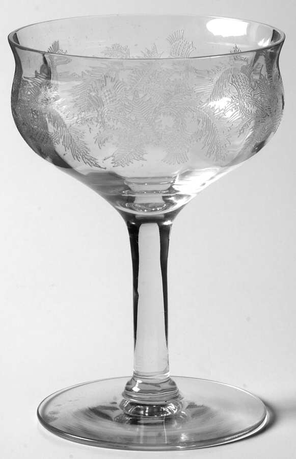 UNK6847 Champagne/Tall Sherbet by Unknown Manufacturer-1