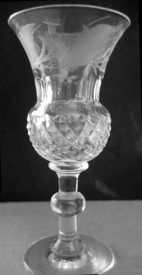 UNK7190 Cordial by Unknown Manufacturer-1