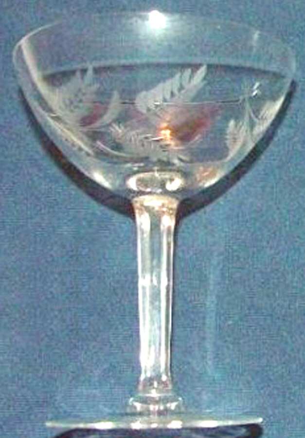 UNK7328 Champagne/Tall Sherbet by Unknown Manufacturer-1