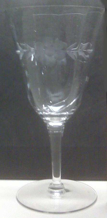 UNK8138 Water Goblet by Unknown Manufacturer-1