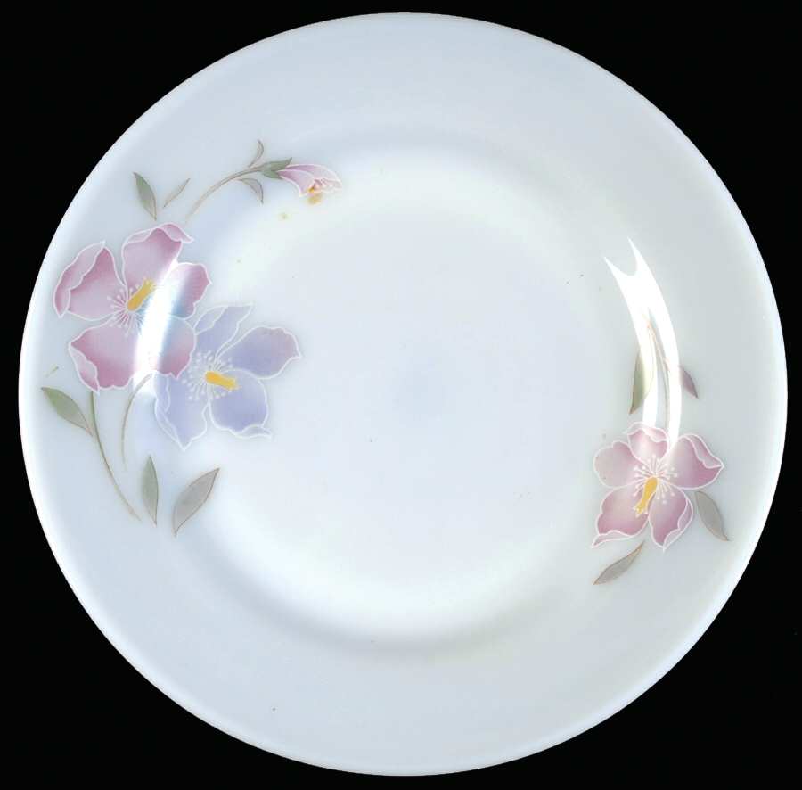 UNK8447 Dinner Plate by Unknown Manufacturer-1