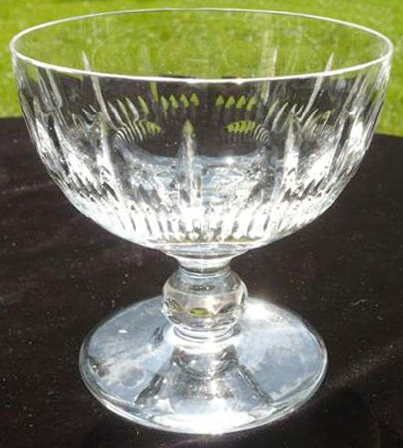 UNK8614 Champagne/Tall Sherbet by Unknown Manufacturer-1