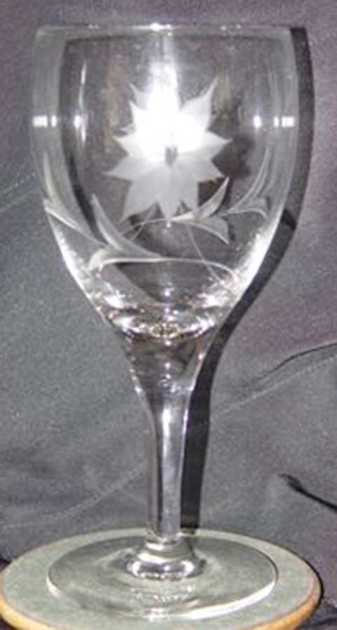 UNK8641 Water Goblet by Unknown Manufacturer-1