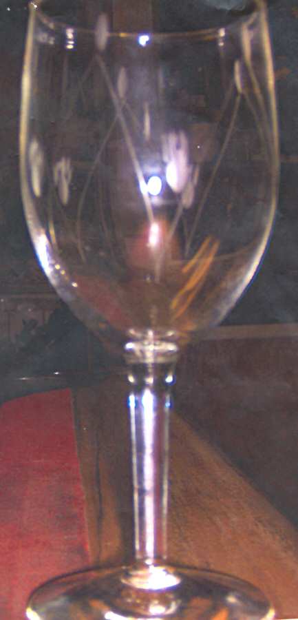 UNK7952 Water Goblet by Unknown Manufacturer-1