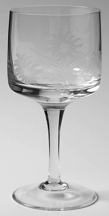 UNK8900 Water Goblet by Unknown Manufacturer-1