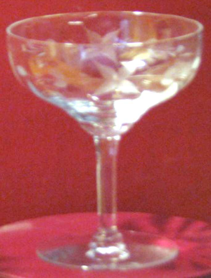 UNK9550 Champagne/Tall Sherbet by Unknown Manufacturer-1