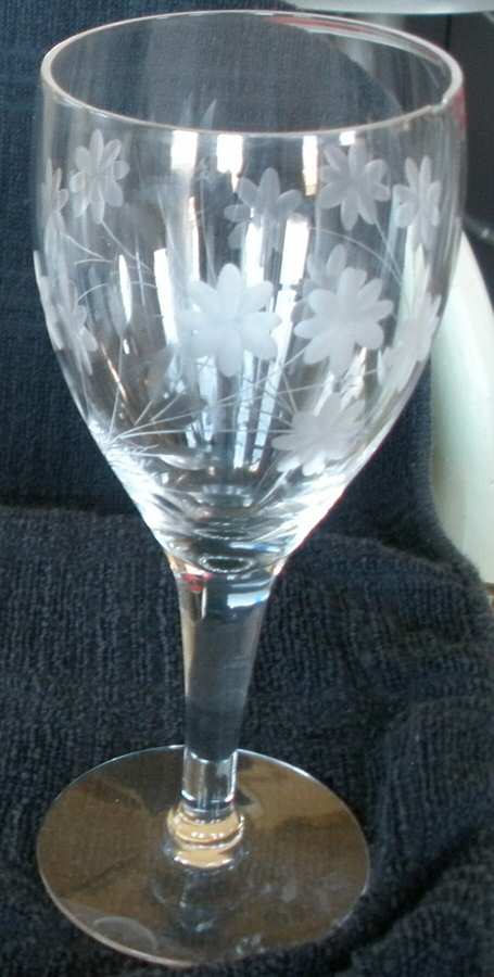 UNK8985 Water Goblet by Unknown Manufacturer-1