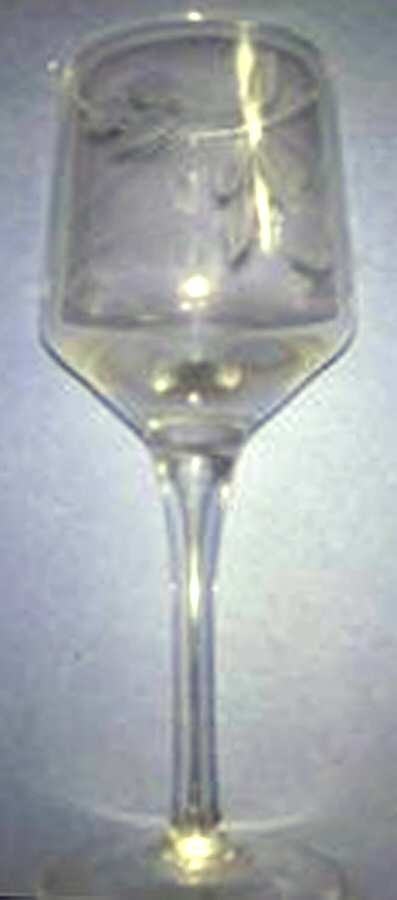 UNK9761 Water Goblet by Unknown Manufacturer-1