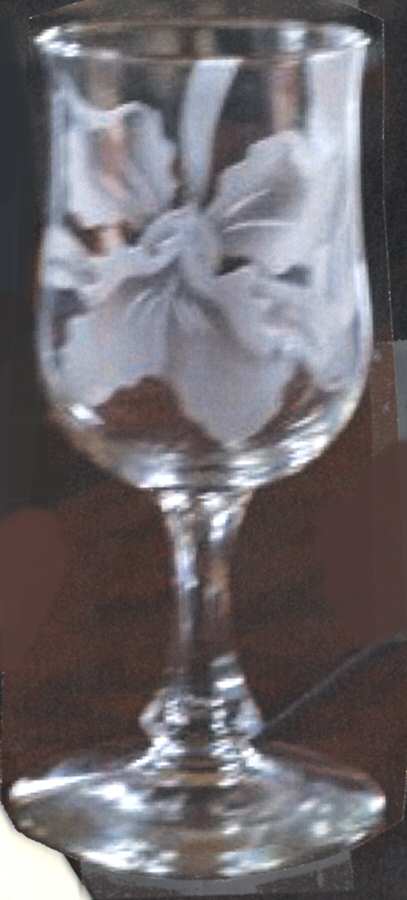 UNK10867 Water Goblet by Unknown Manufacturer-1