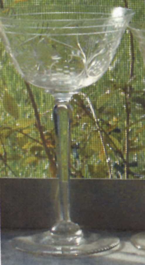 UNK10946 Champagne/Tall Sherbet by Unknown Manufacturer-1