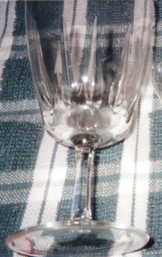 UNK11248 Water Goblet by Schott-Zwiesel-1