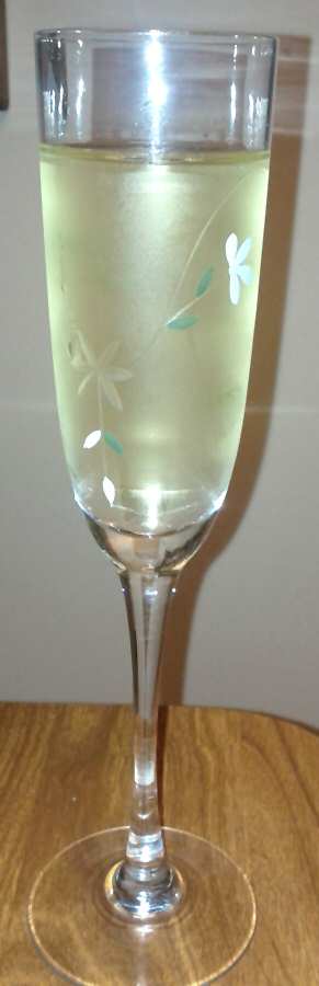 UNK11777 Fluted Champagne by Unknown Manufacturer-1