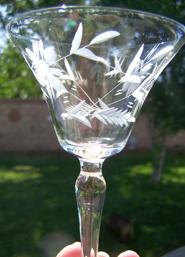 UNK11898 Champagne/Tall Sherbet by Unknown Manufacturer-1