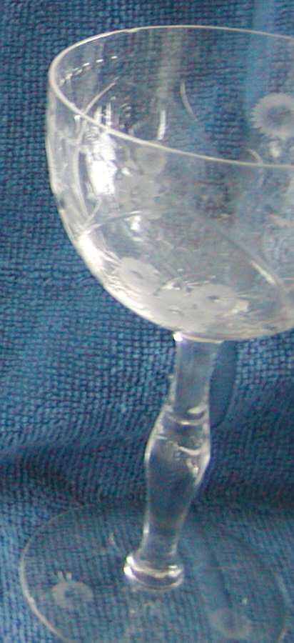 UNK12005 Champagne/Tall Sherbet by Unknown Manufacturer-1