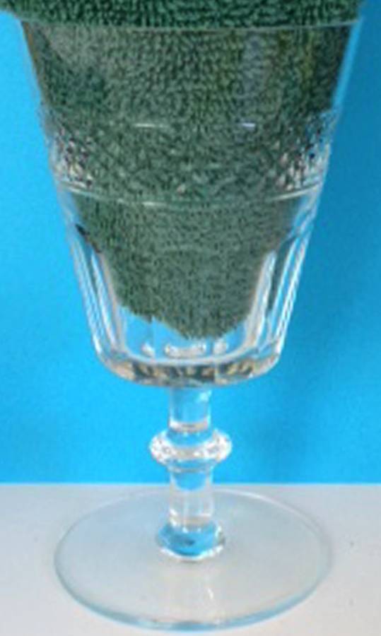 UNK13025 Water Goblet by Unknown Manufacturer-1