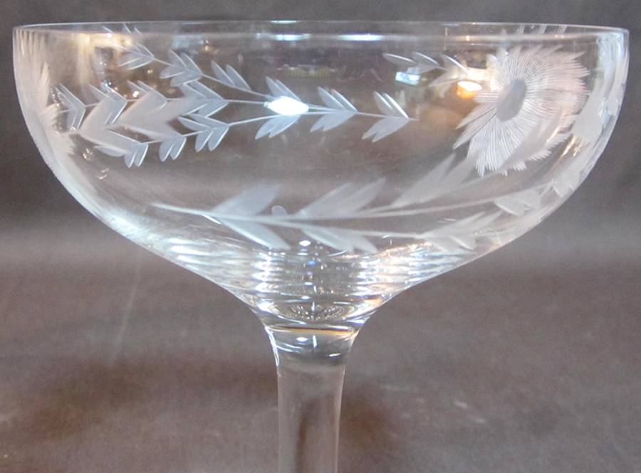 UNK13228 Champagne/Tall Sherbet by Unknown Manufacturer-1