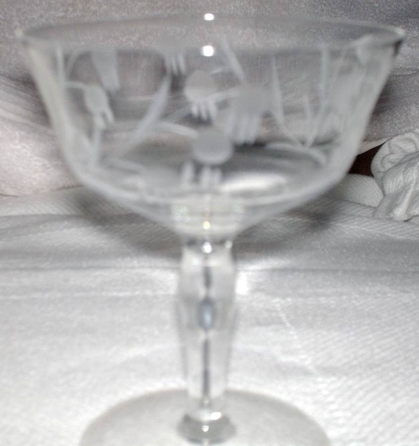 UNK13430 Champagne/Tall Sherbet by Unknown Manufacturer-1