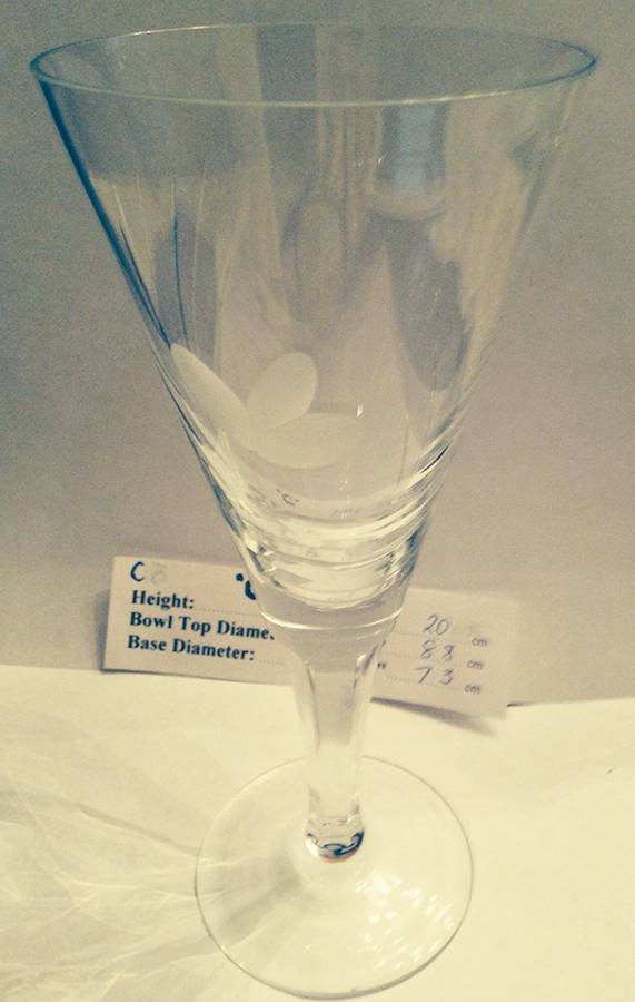 UNK13549 Water Goblet by Unknown Manufacturer-1