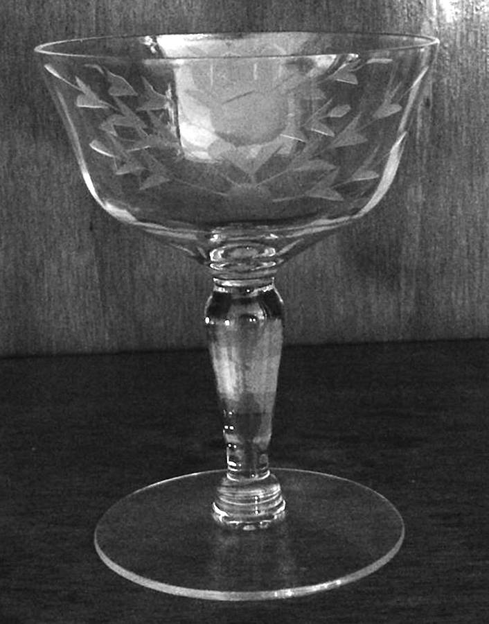 UNK14827 Champagne/Tall Sherbet by Unknown Manufacturer-1