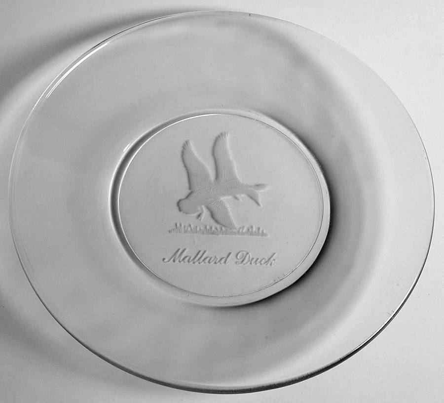 UNK17392 8" Salad Plate by Unknown Manufacturer-1