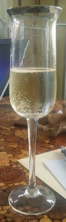 UNK15577 Fluted Champagne by Unknown Manufacturer-1
