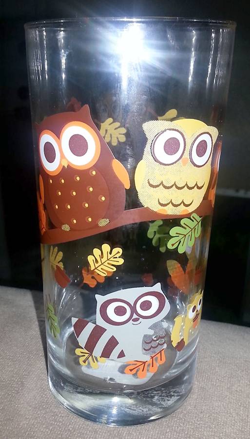 Harvest Owls Cooler by Unknown Manufacturer-1