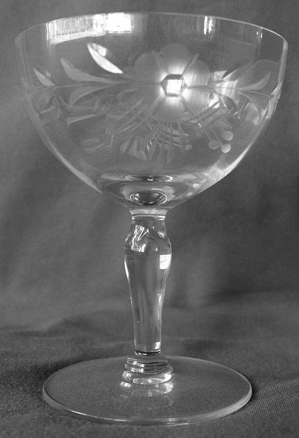 UNK16036 Champagne/Tall Sherbet by Unknown Manufacturer-1