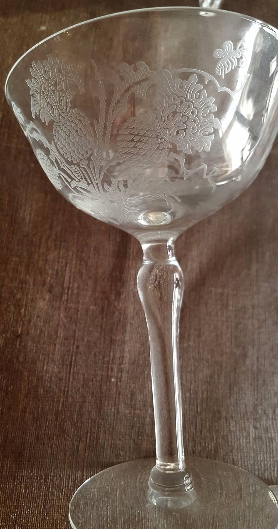 UNK18194 Champagne/Tall Sherbet by Unknown Manufacturer-1