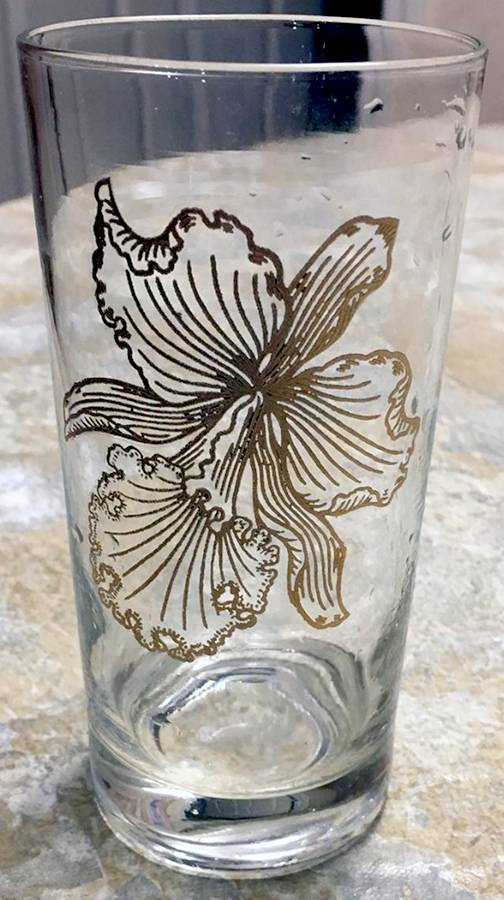 UNK17019 Highball Glass by Unknown Manufacturer-1