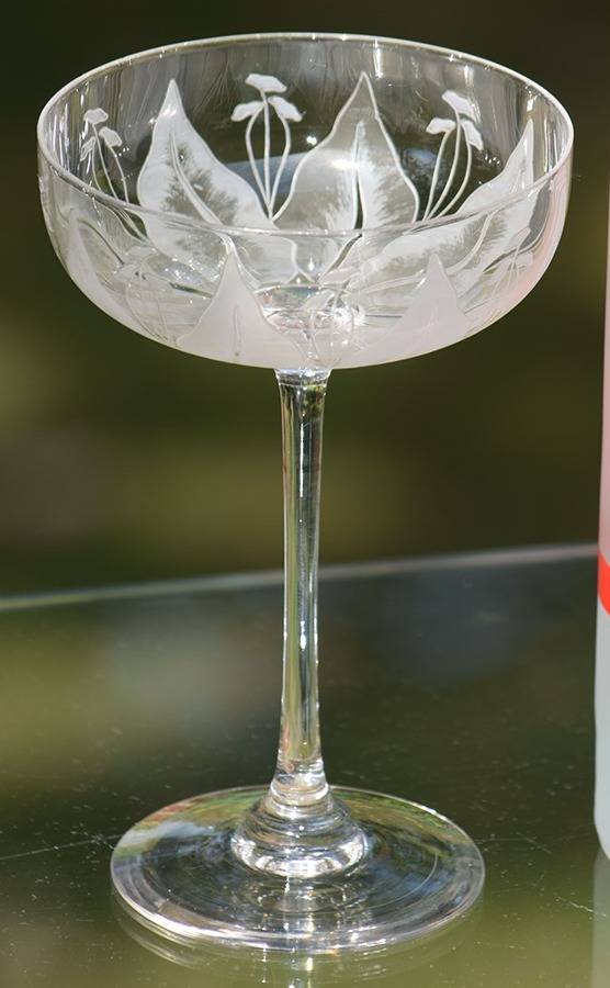 UNK19227 Champagne/Tall Sherbet by Unknown Manufacturer-1