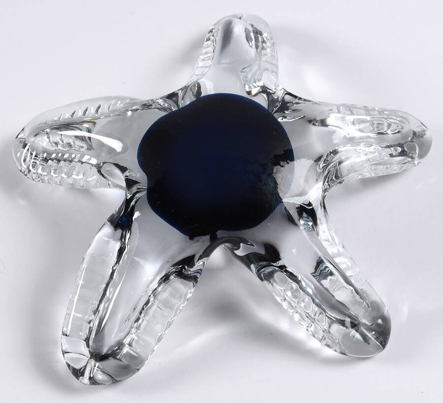 Animals & Figurines (Multicolor) Starfish by Unknown Manufacturer-1