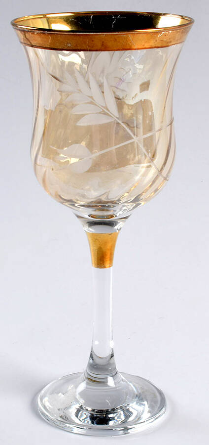 UNK16879 Water Goblet by Unknown Manufacturer-1