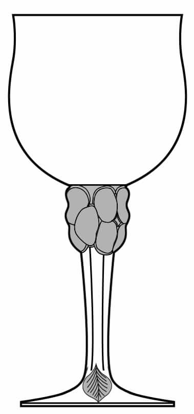 Rose Water Goblet by Villeroy & Boch-1