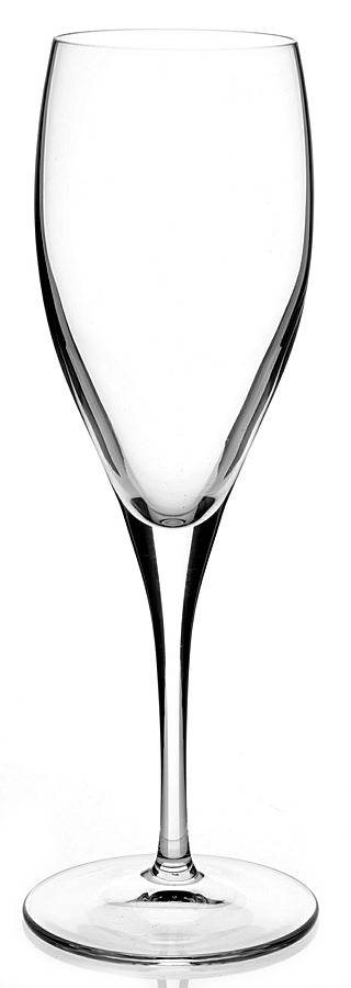 Torino Fluted Champagne by Villeroy & Boch-1
