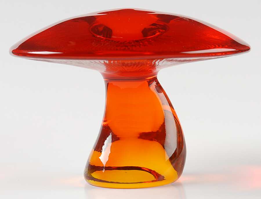 Mushrooms Orange Jumbo Mushroom by Viking-1