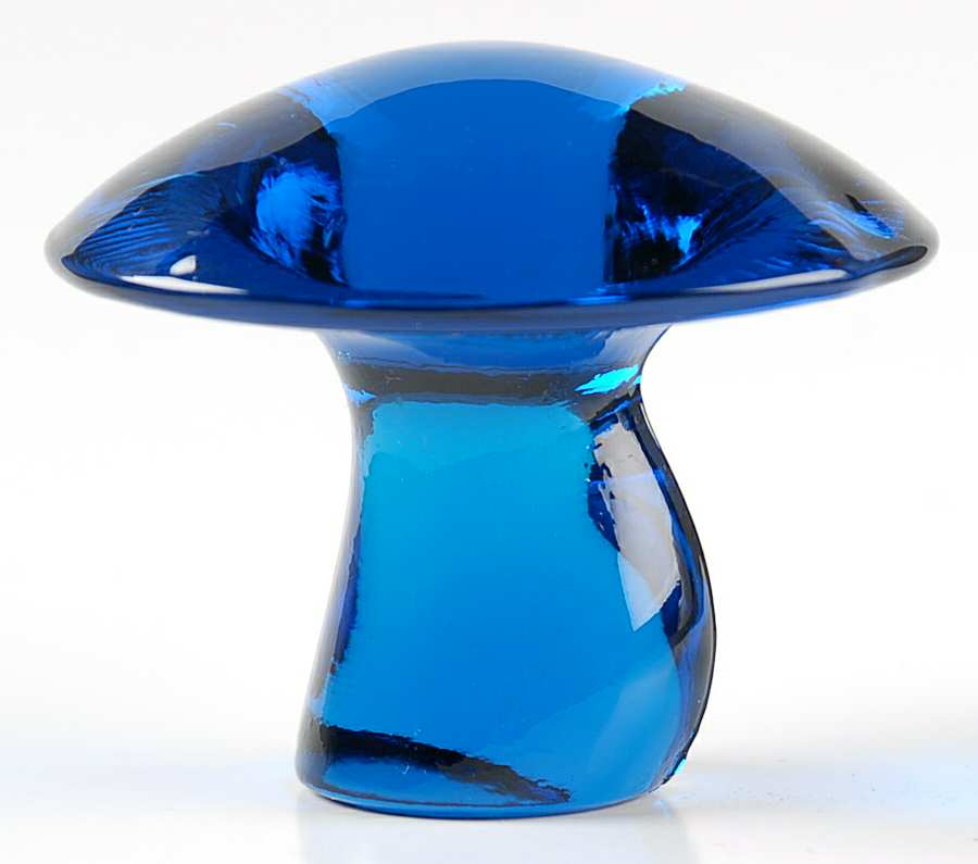 Mushrooms Blue Small Mushroom by Viking-1