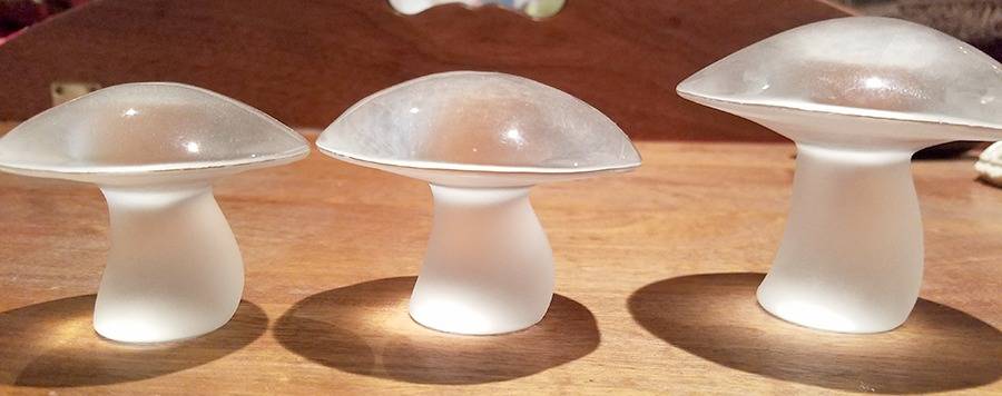 Mushrooms Crystal (Frost) Medium Mushroom by Viking-1