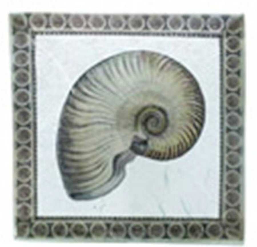 Sea Collection 5" Square Plate by Vietri-1