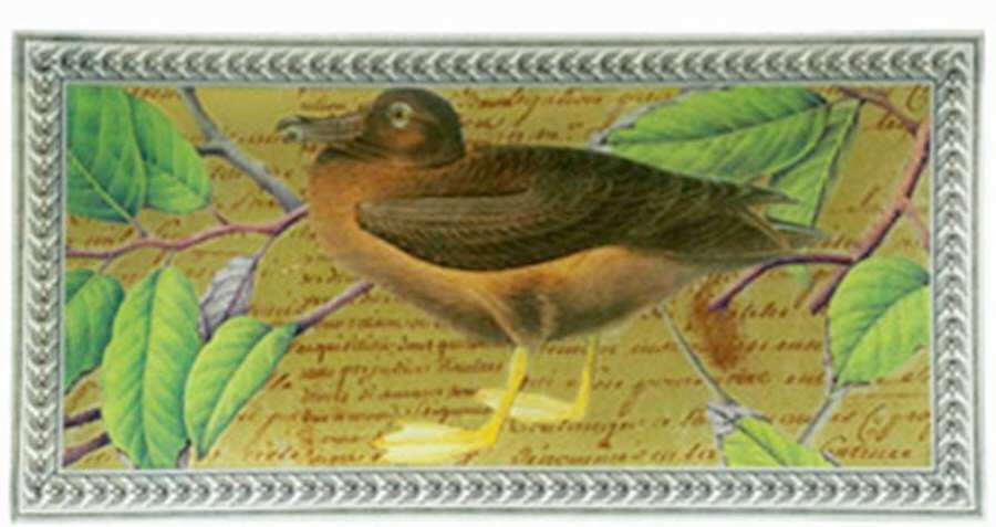 Wildlife Collection 13" Rectangular Platter by Vietri-1