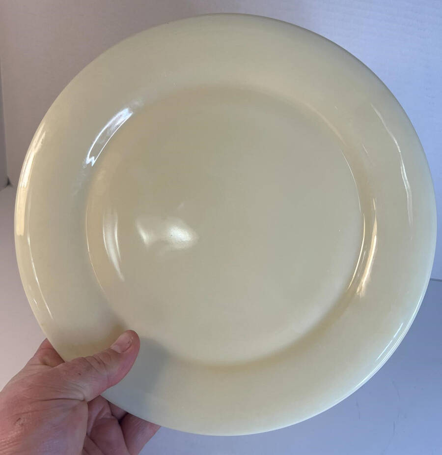 Custard Dinner Plate by Williams-Sonoma-1