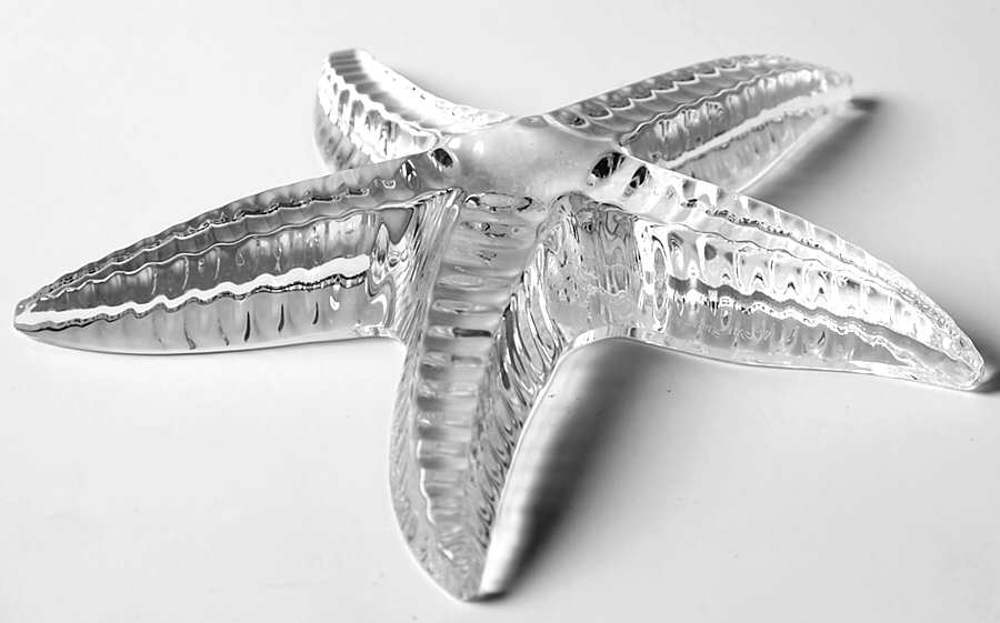 Cape Collection Starfish by Waterford Crystal-1