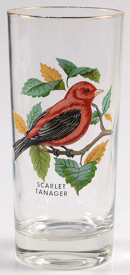 American Songbirds 13 Oz Flat Tumbler by West Virginia Glass Specialty-1