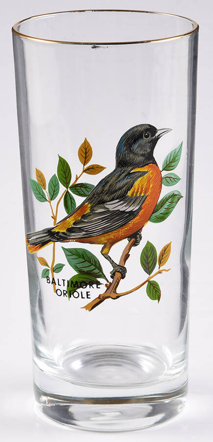 American Songbirds 13 Oz Flat Tumbler by West Virginia Glass Specialty-1