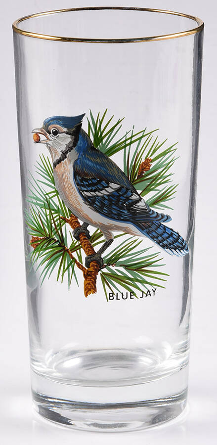 American Songbirds 13 Oz Flat Tumbler by West Virginia Glass Specialty-1