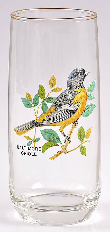 American Songbirds 18 Oz Flat Tumbler by West Virginia Glass Specialty-1