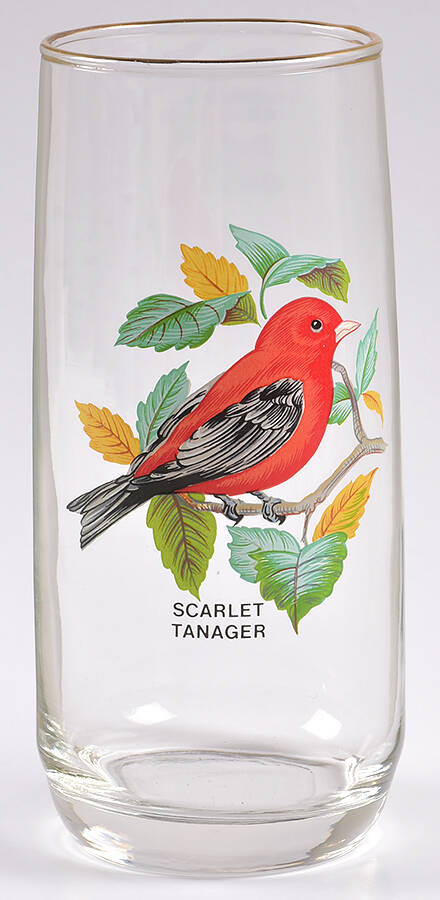 American Songbirds 18 Oz Flat Tumbler by West Virginia Glass Specialty-1