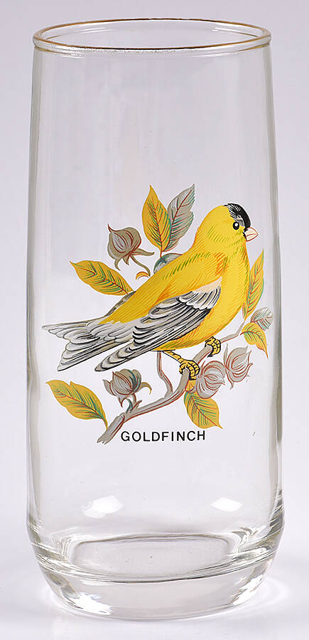 American Songbirds 18 Oz Flat Tumbler by West Virginia Glass Specialty-1