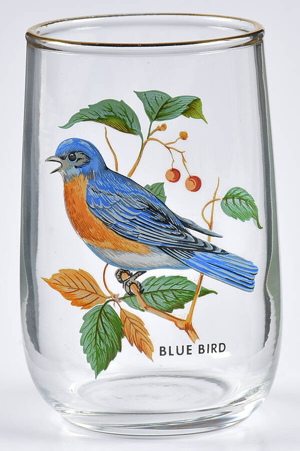 American Songbirds 5 Oz Flat Tumbler by West Virginia Glass Specialty-1