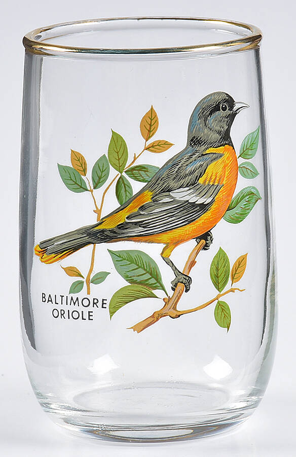 American Songbirds 5 Oz Flat Tumbler by West Virginia Glass Specialty-1